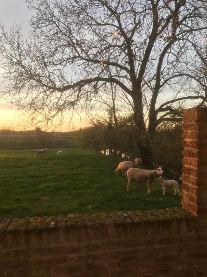 Kasteel Landgoed Crayenstein B&B Tricht Dış mekan fotoğraf