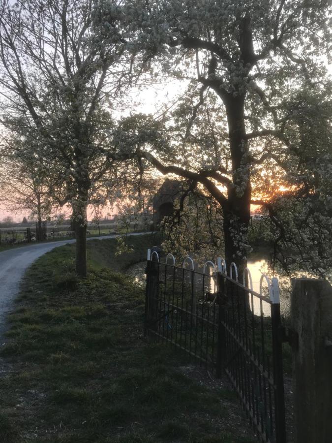 Kasteel Landgoed Crayenstein B&B Tricht Dış mekan fotoğraf
