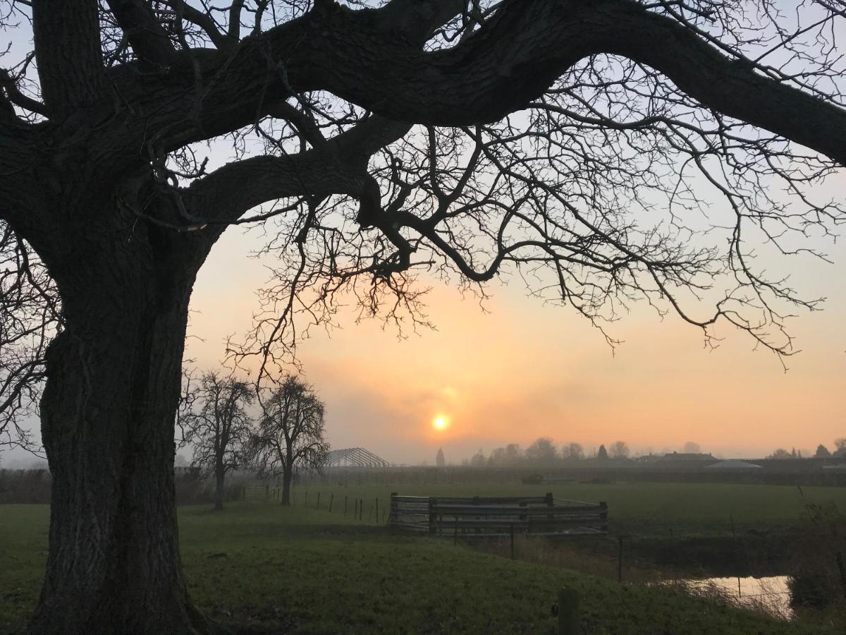 Kasteel Landgoed Crayenstein B&B Tricht Dış mekan fotoğraf