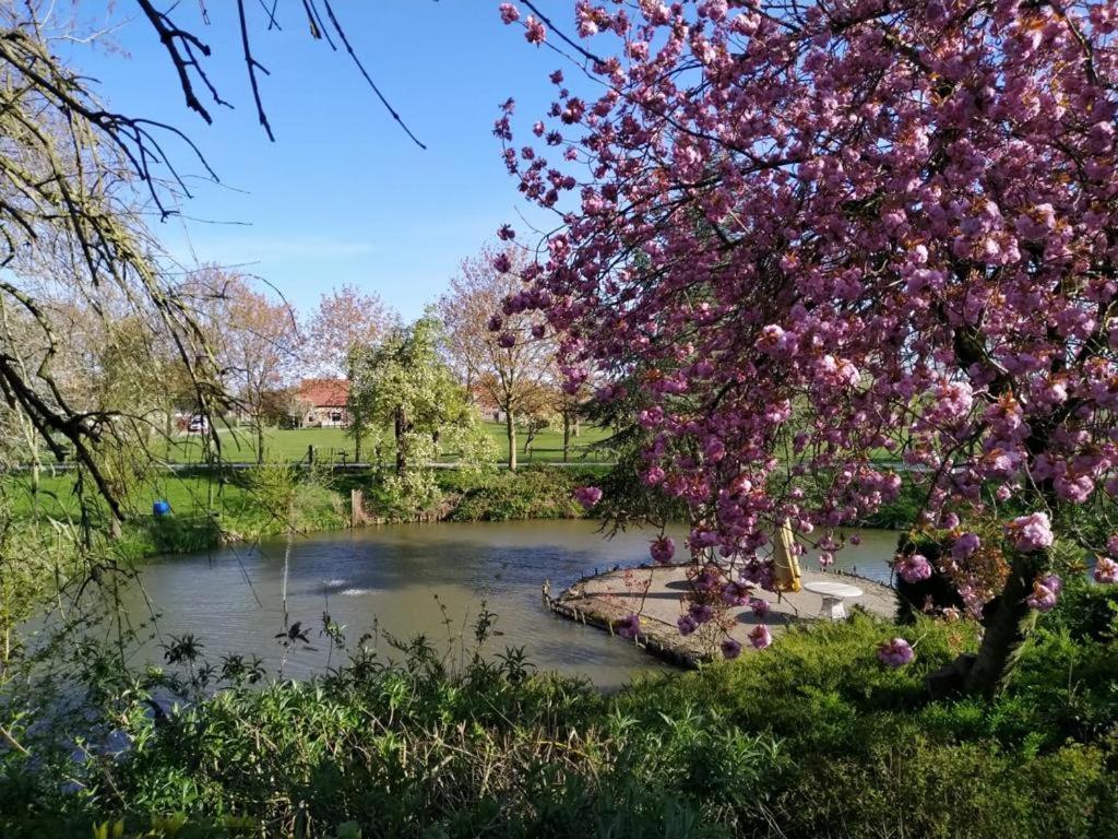Kasteel Landgoed Crayenstein B&B Tricht Dış mekan fotoğraf